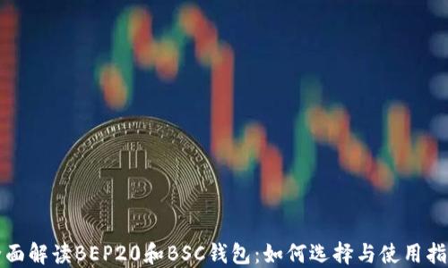 
全面解读BEP20和BSC钱包：如何选择与使用指南