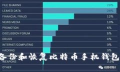 如何安全备份和恢复比特
