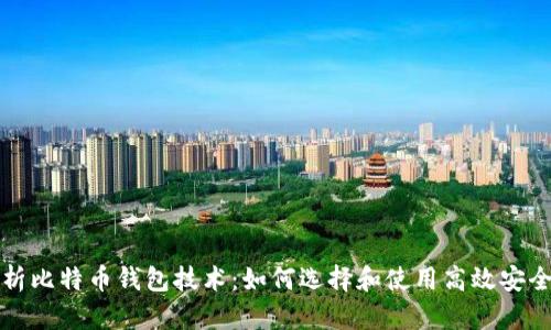 全面解析比特币钱包技术：如何选择和使用高效安全的钱包