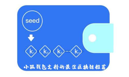 小狐钱包支持的最佳区块链推荐