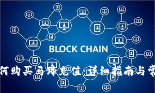 小狐钱包如何购买马蹄充值：详细指南与常见问题解答