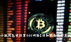如何在小狐钱包中设置BSC网络？详细指南与常见