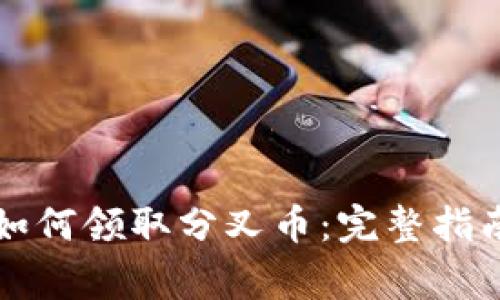 比特币钱包如何领取分叉币：完整指南与注意事项