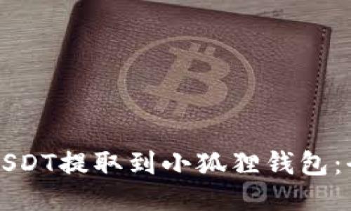 如何将USDT提取到小狐狸钱包：全面指南