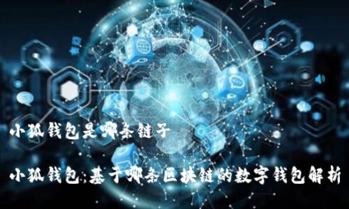 小狐钱包是哪条链子

小狐钱包：基于哪条区块链的数字钱包解析