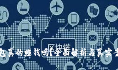 小狐钱包真的赚钱吗？全面解析与真实案例分析
