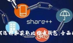 如何选择和获取比特币钱