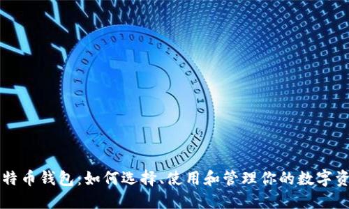 比特币钱包：如何选择、使用和管理你的数字资产
