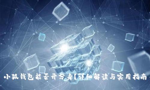 小狐钱包能否开分身？详细解读与实用指南
