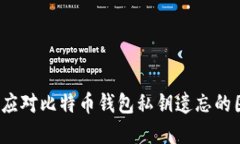 如何应对比特币钱包私钥