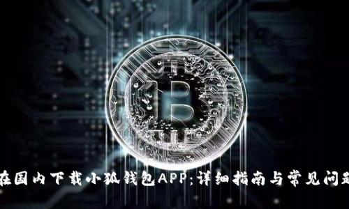 如何在国内下载小狐钱包APP：详细指南与常见问题解答