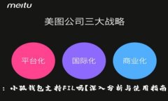 : 小狐钱包支持FIL吗？深入分析与使用指南