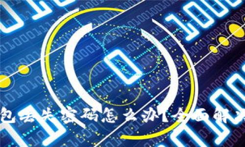 比特币钱包丢失密码怎么办？全面解决方案解析