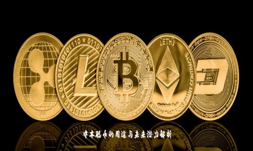 中本聪币的用途与未来潜力解析