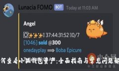 :如何查看小狐钱包资产：全面指南与常见问题解