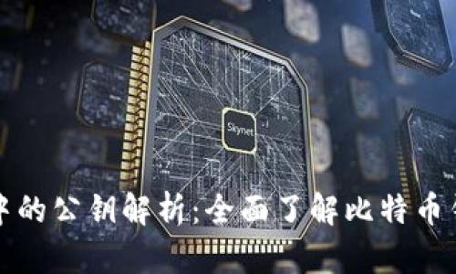 比特币钱包中的公钥解析：全面了解比特币钱包及其公钥