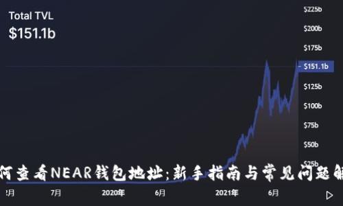 如何查看NEAR钱包地址：新手指南与常见问题解答