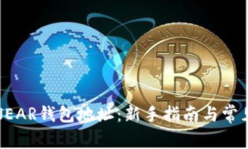 如何查看NEAR钱包地址：新手指南与常见问题解答