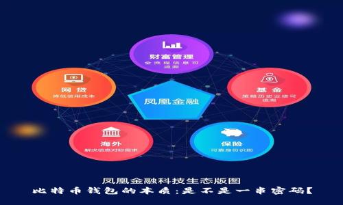 比特币钱包的本质：是不是一串密码？