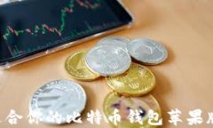 如何选择适合你的比特币