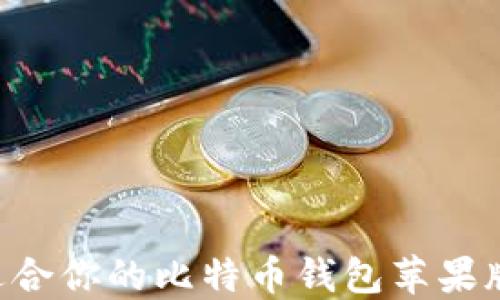 
如何选择适合你的比特币钱包苹果版：全面指南