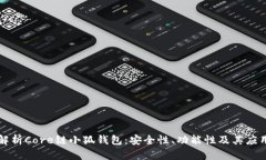 深入解析Core链小狐钱包：安全性、功能性及其应