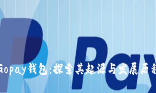 Gopay钱包：探索其起源与发展历程