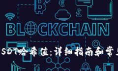 如何查询USDT哈希值：详细