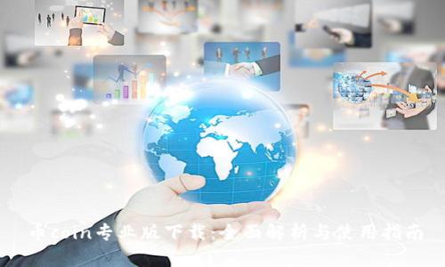 币coin专业版下载：全面解析与使用指南