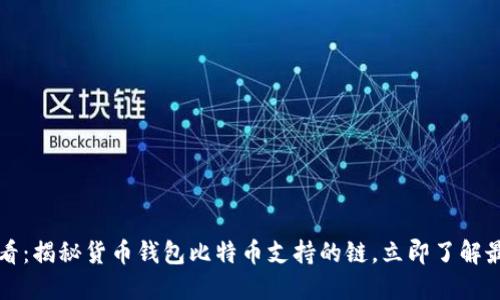 2025必看：揭秘货币钱包比特币支持的链，立即了解最新动态！