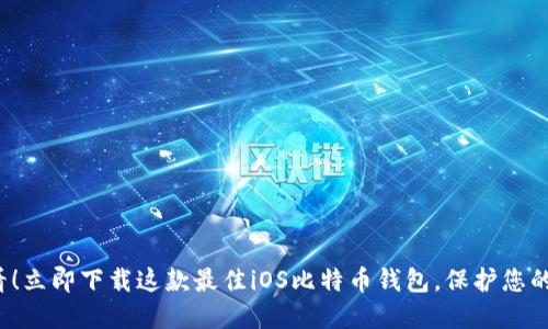 2025必看！立即下载这款最佳iOS比特币钱包，保护您的数字资产