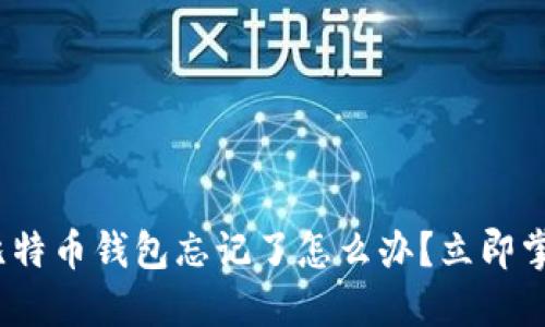 2025必看！比特币钱包忘记了怎么办？立即掌握找回技巧！