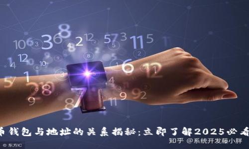 比特币钱包与地址的关系揭秘：立即了解2025必看知识！