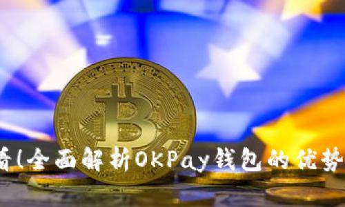 2025必看！全面解析OKPay钱包的优势与适用性