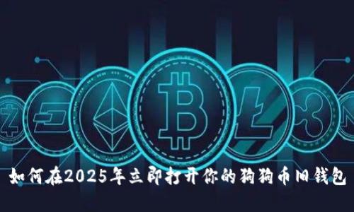 如何在2025年立即打开你的狗狗币旧钱包