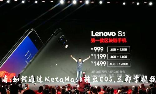 2025必看：如何通过MetaMask转出EOS，立即掌握操作技巧！