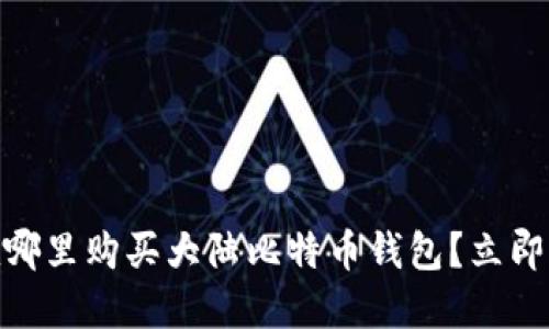 2025必看：在哪里购买大陆比特币钱包？立即获取最新指南