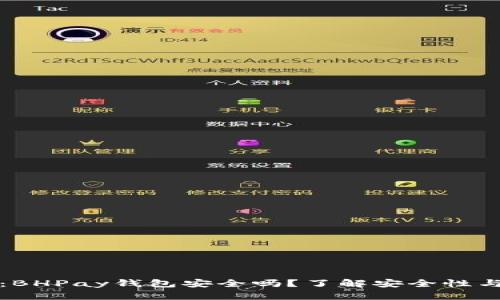 2023必看：BHPay钱包安全吗？了解安全性与潜在风险！
