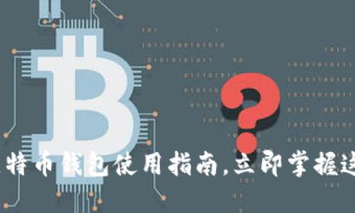 2025必看：比特币钱包使用指南，立即掌握这一关键技能！