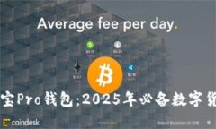 立即下载波宝Pro钱包：2