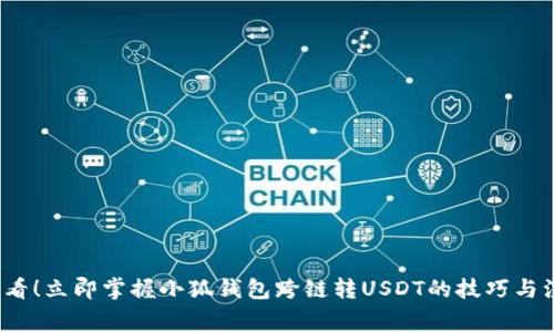 2025必看！立即掌握小狐钱包跨链转USDT的技巧与注意事项