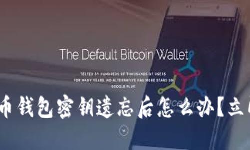 2025必看：比特币钱包密钥遗忘后怎么办？立即查看解决方案！