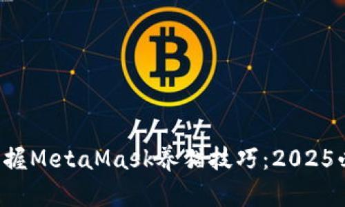 b立即掌握MetaMask养猫技巧：2025必看指南