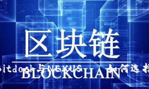 2025必看：深入解析Bitdock与NEXUS——如何选择最佳区块链解决方案