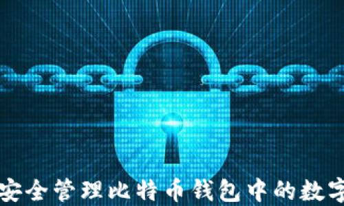 
如何安全管理比特币钱包中的数字资产