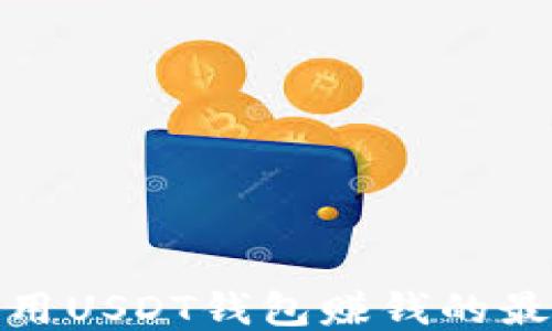 
如何利用USDT钱包赚钱的最佳策略