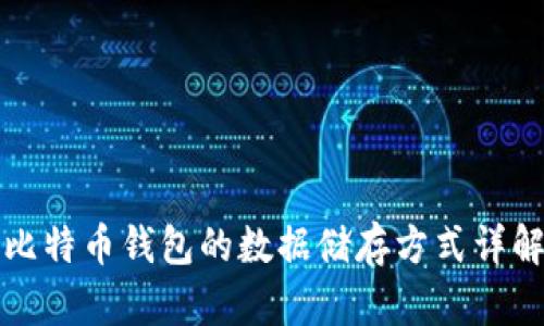 比特币钱包的数据储存方式详解