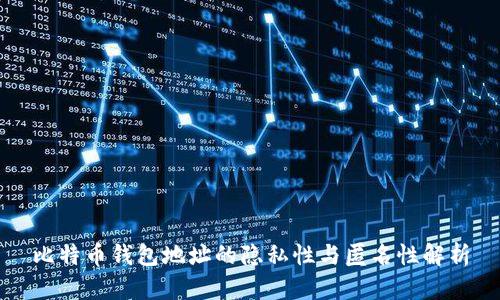 比特币钱包地址的隐私性与匿名性解析