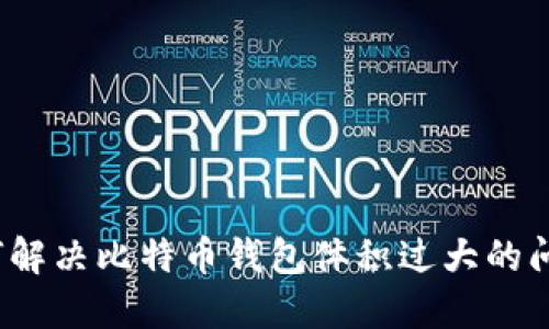 如何解决比特币钱包体积过大的问题？