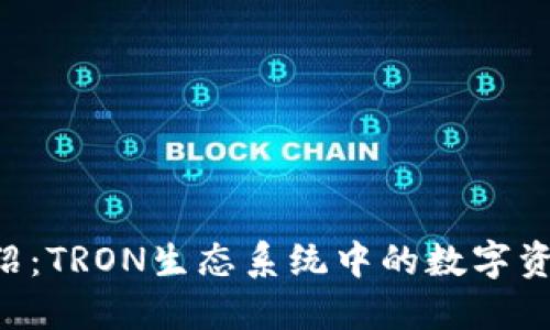 TRX钱包介绍：TRON生态系统中的数字资产管理工具